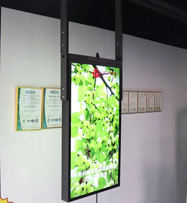 55インチLcdの倍によって味方されるディスプレイ・モニター3000Nit 700Nitの屋根の掛かること
